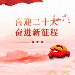 喜迎党的二十大